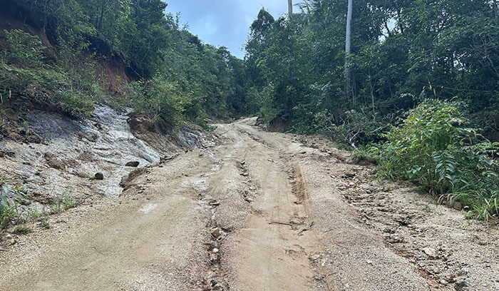 Part of Road to Bottle Beach