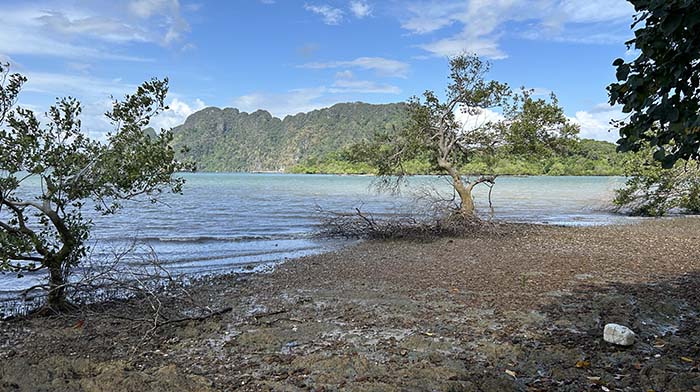 Ban Klong Mak Viewpoint