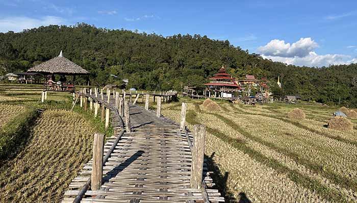 Bamboo Bridge