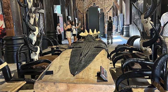 Bone inside Black House