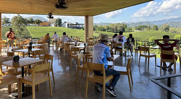 Choui Fong Tea Plantation