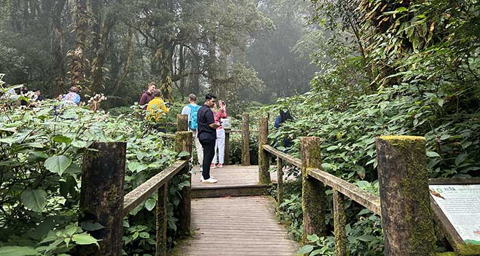 Natural Trail Doi Inthanon