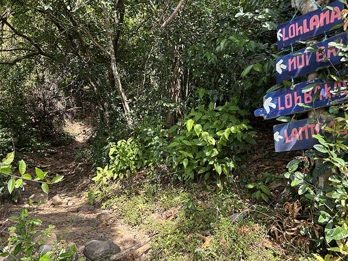 jungle trail Tonsai to Loh Lana