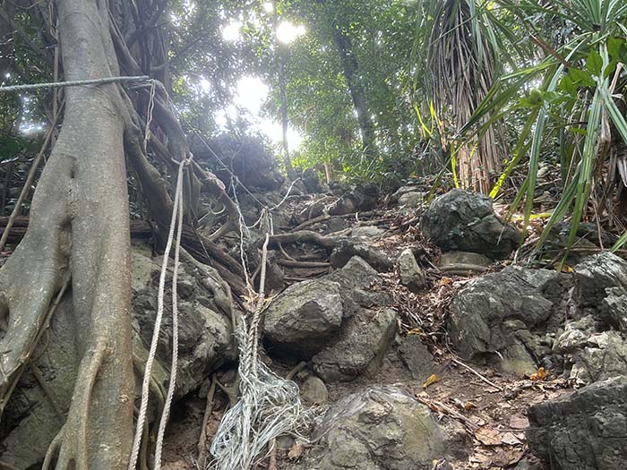 Jungle hike to Nui Bay