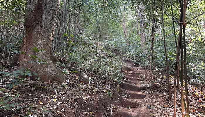 Path to Anagami Temple