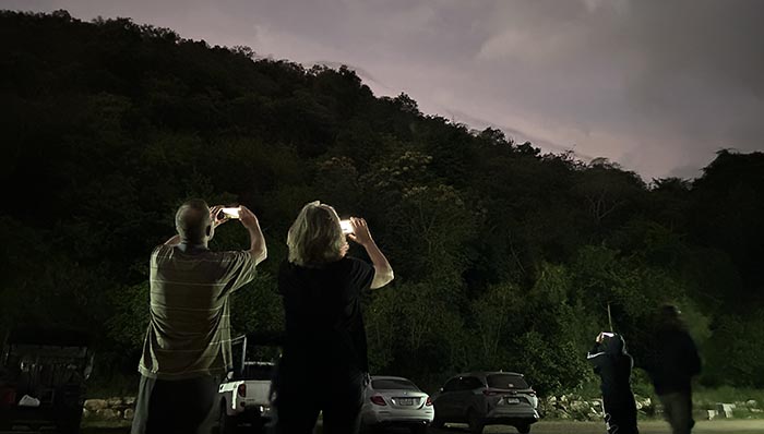 Watching bat fly out from the cave