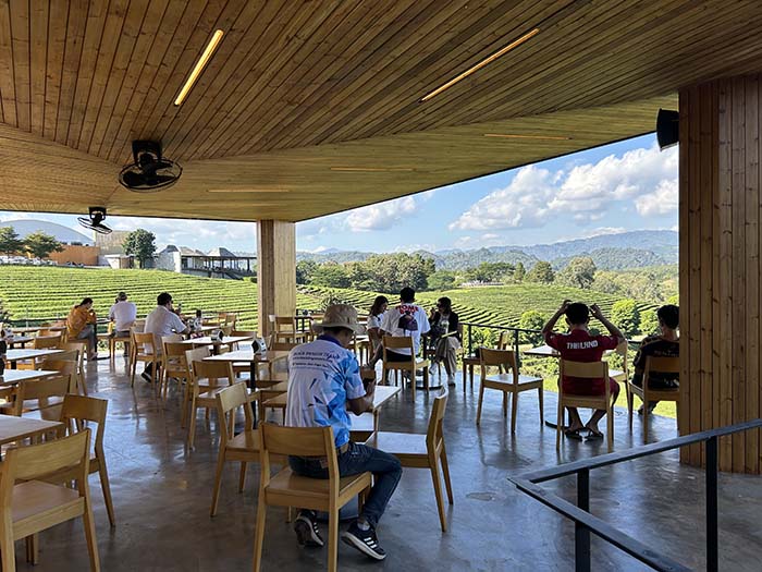 Choui Fong Tea Plantation