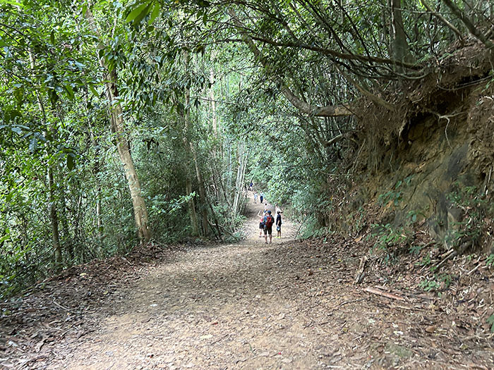trail to Bang Hua Rat waterfall