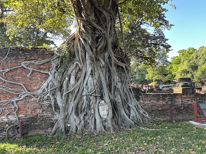 Ayutthaya Wat Mahathat