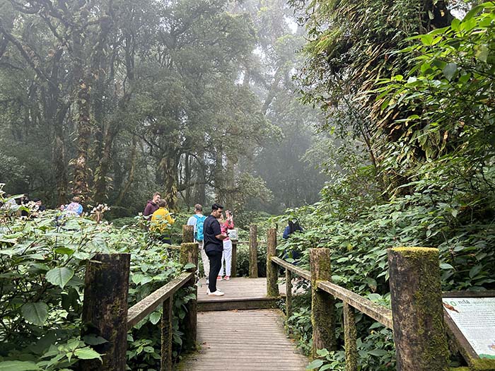 Doi Inthanon National Park