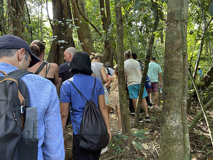 jungle trek near Cheow Lan lake