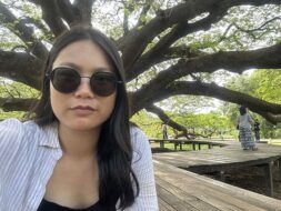 Monkey Pod Tree Kanchanaburi