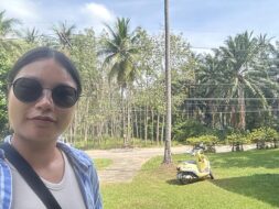 Rubber plantation Yao Yai