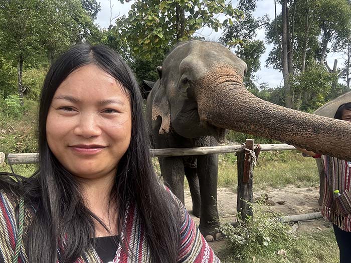 feeding elephants in Chiang Mai