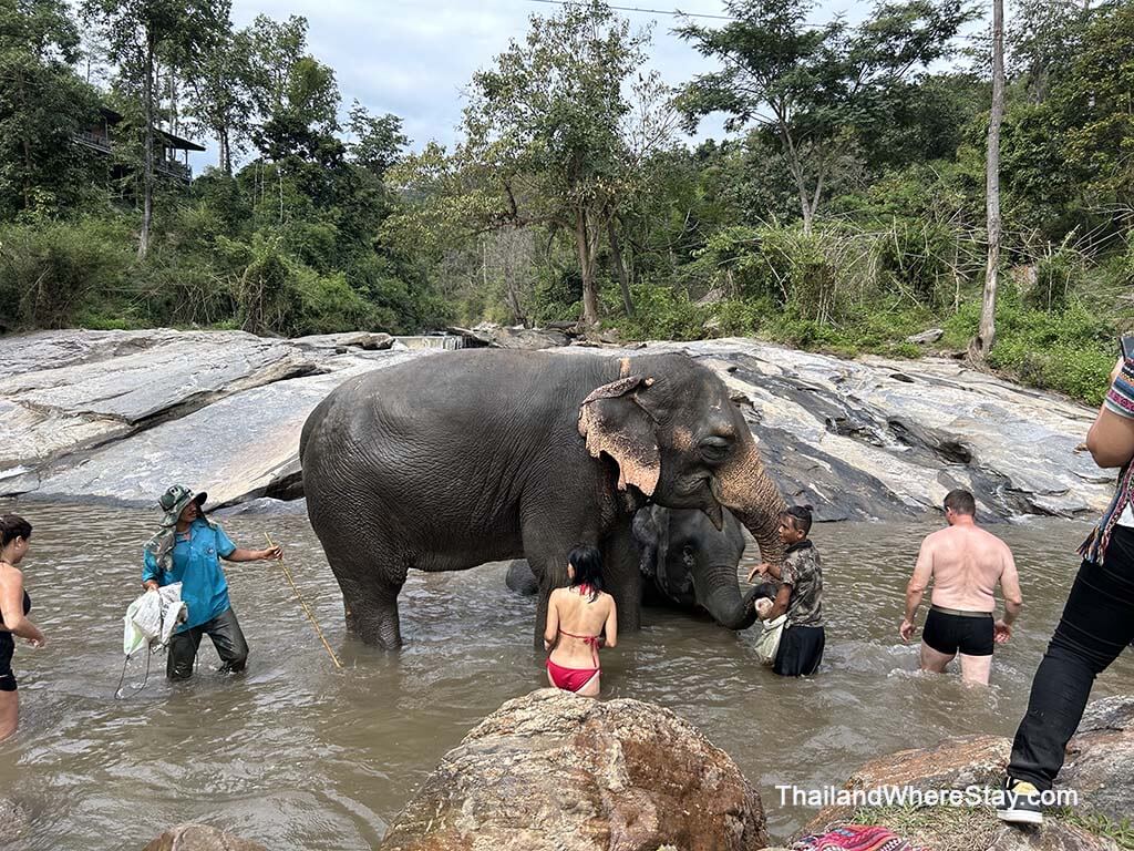 Mae Win Elephant Sanctuary