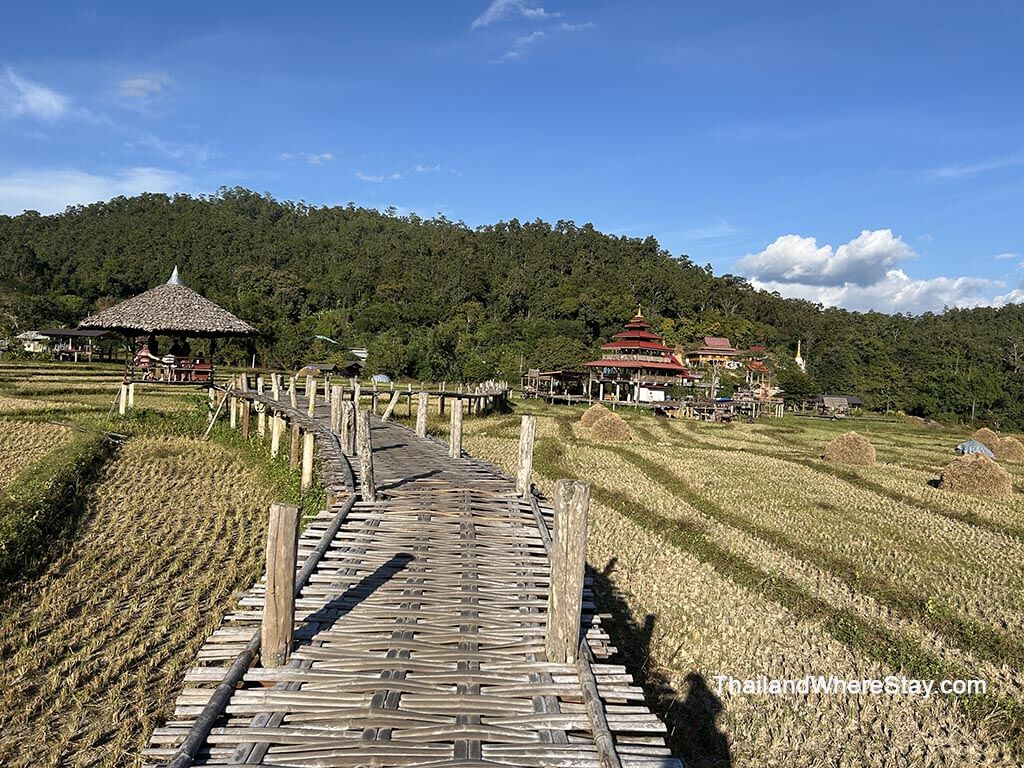Bamboo bridge in December