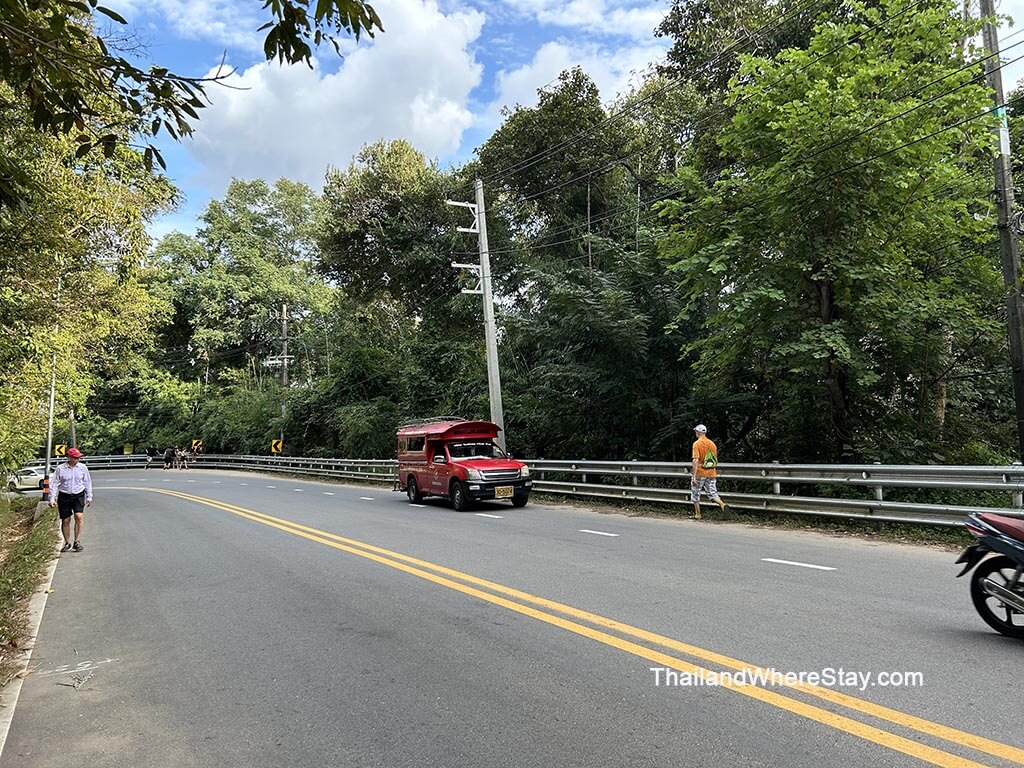 climbing the fence to cross the road