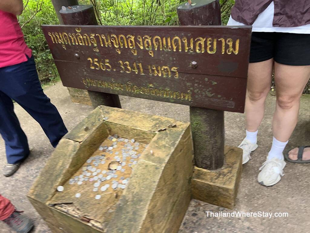 the coin area at summit