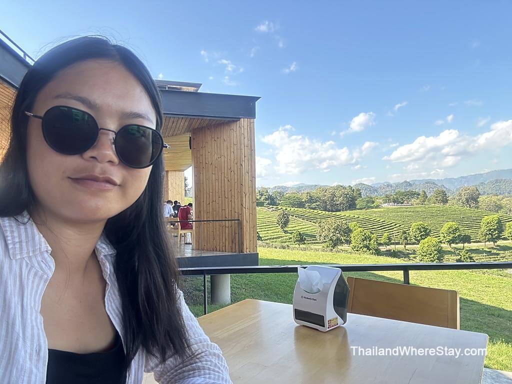 Me in a Choui Fong Tea Plantation in Chiang Rai