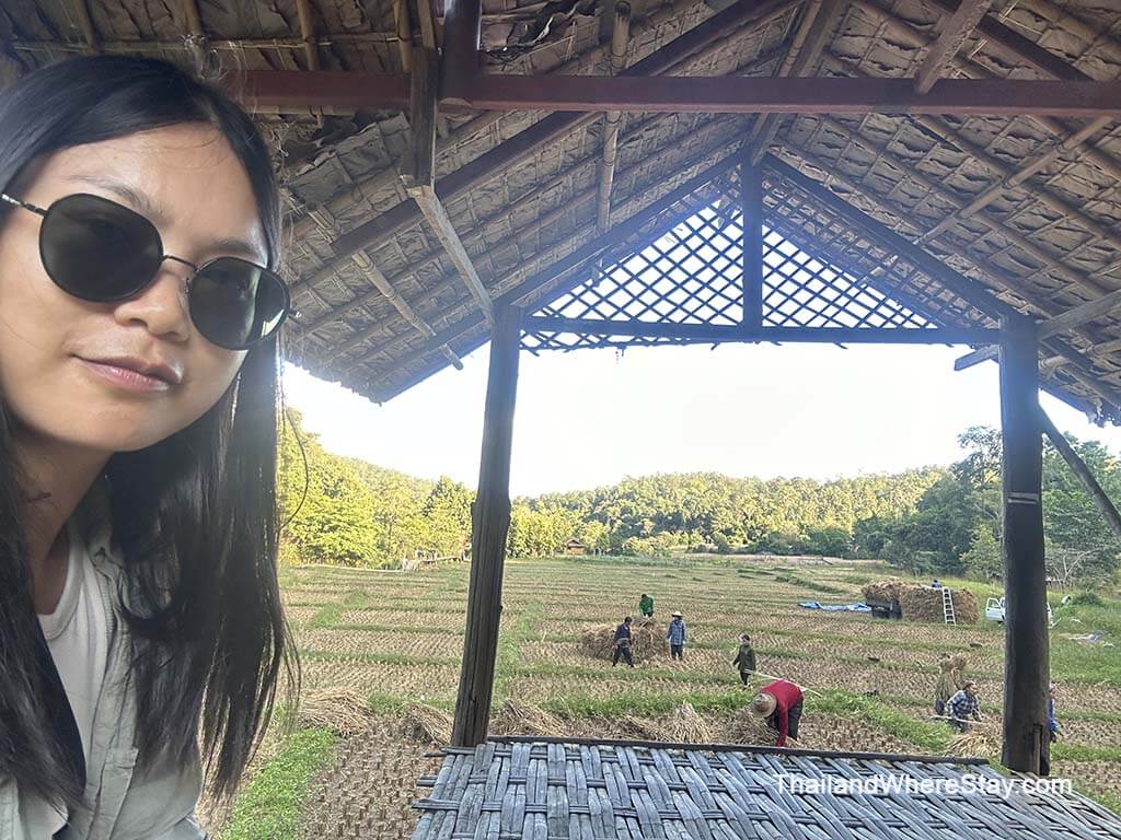 Me watching farmers working on the rice field