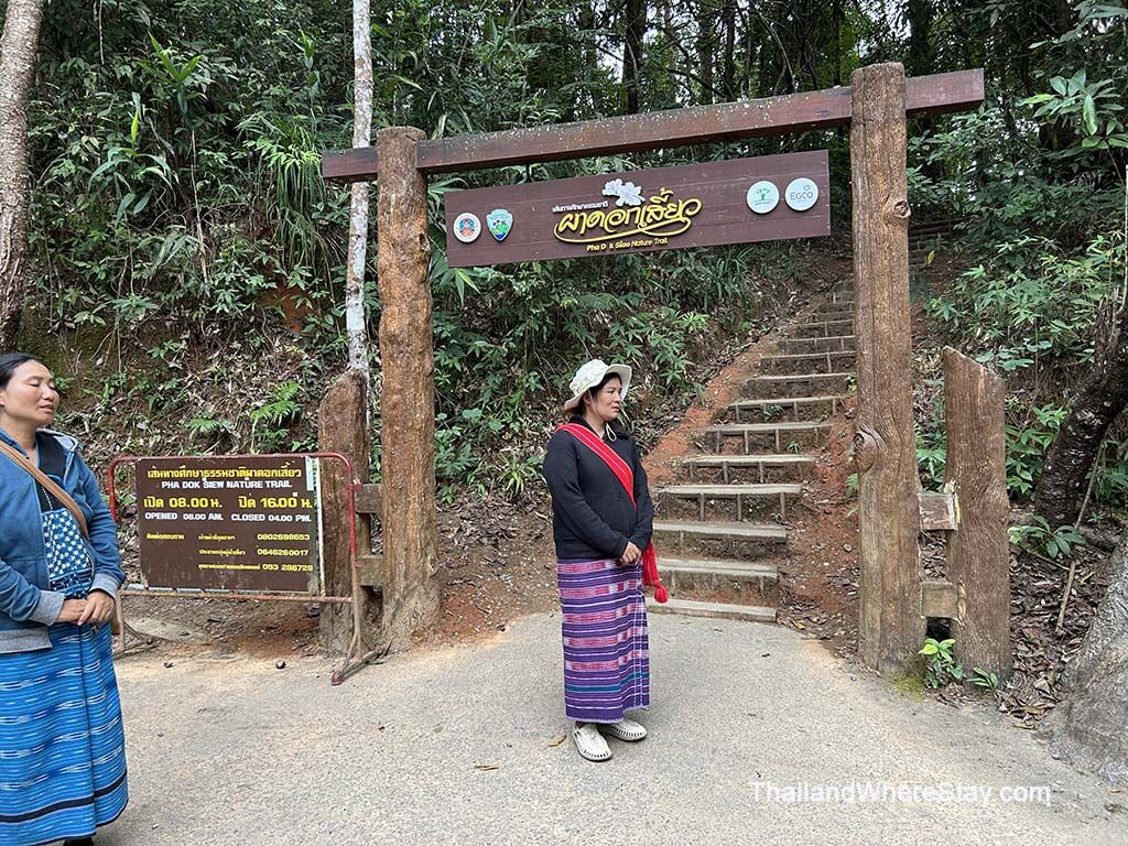 starting point of Pha Dok Siew Trail