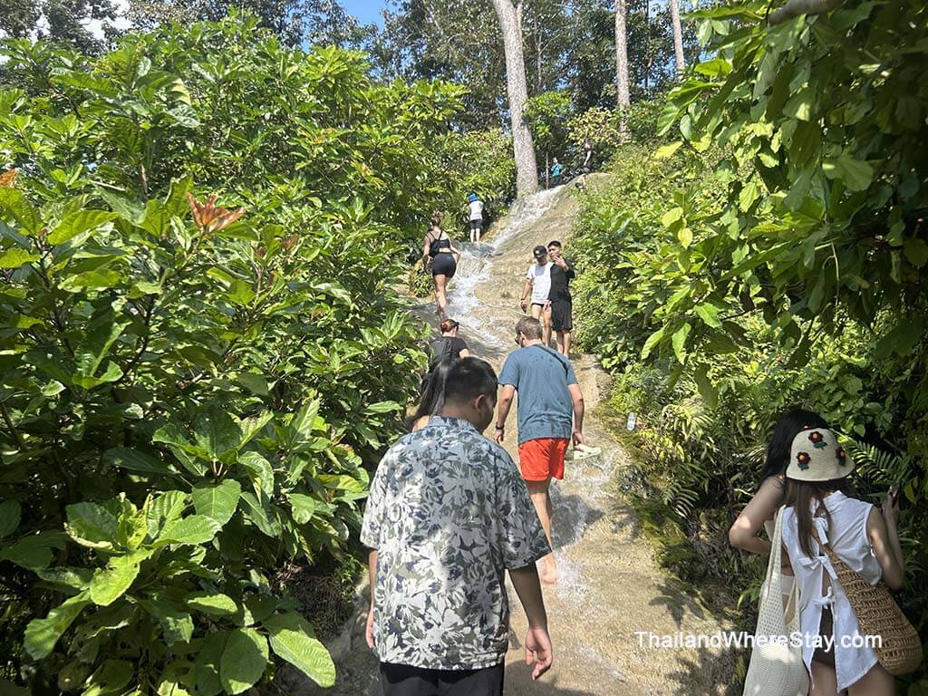 My Day Trip to Bua Tong Sticky Waterfall from Chiang Mai ...