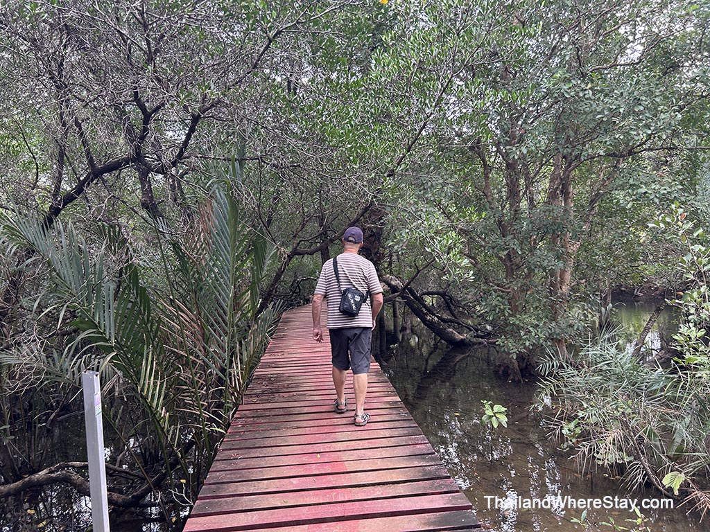 SalakPhet Mangrove Forest Koh Chang