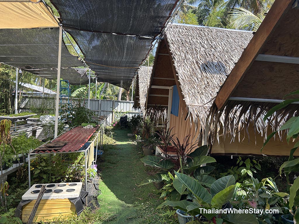 tent rooms Backpack Hostel