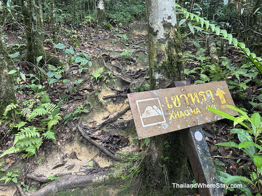 Hiking trail to Khao Ra Phangan