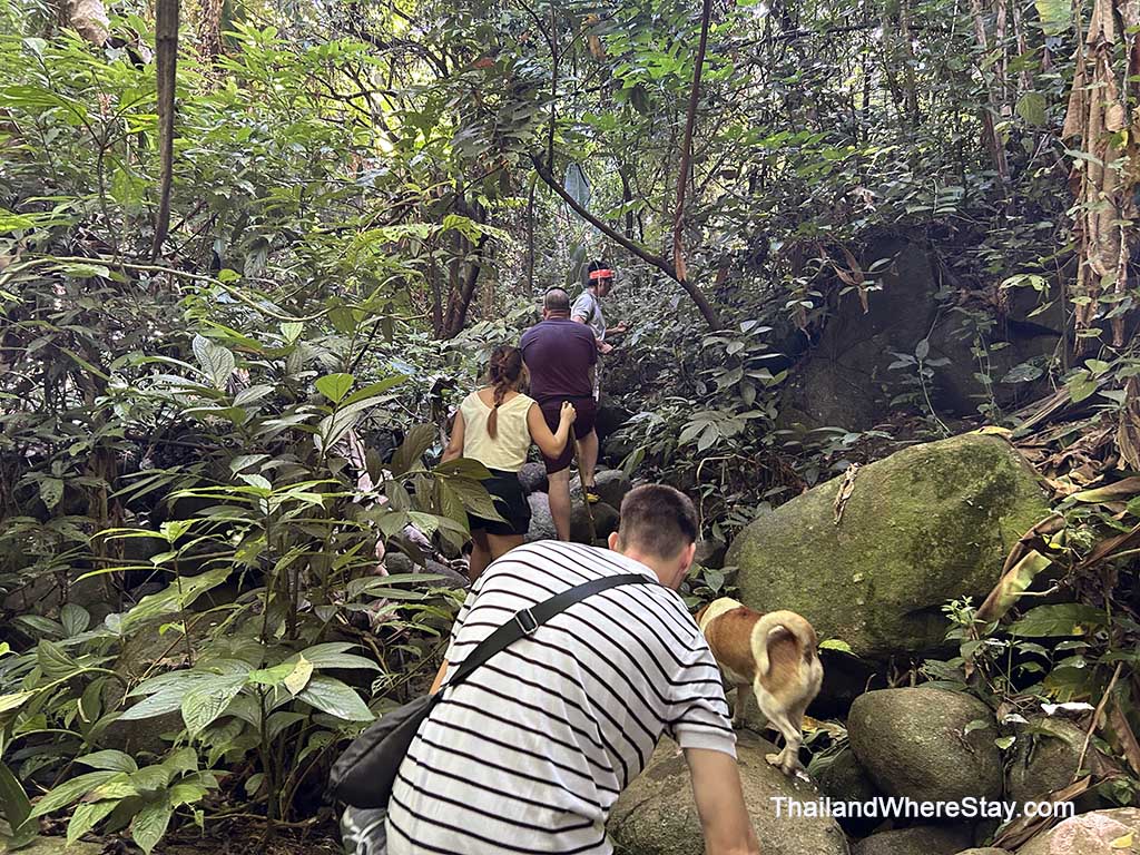 Hiking in Chiang Rai