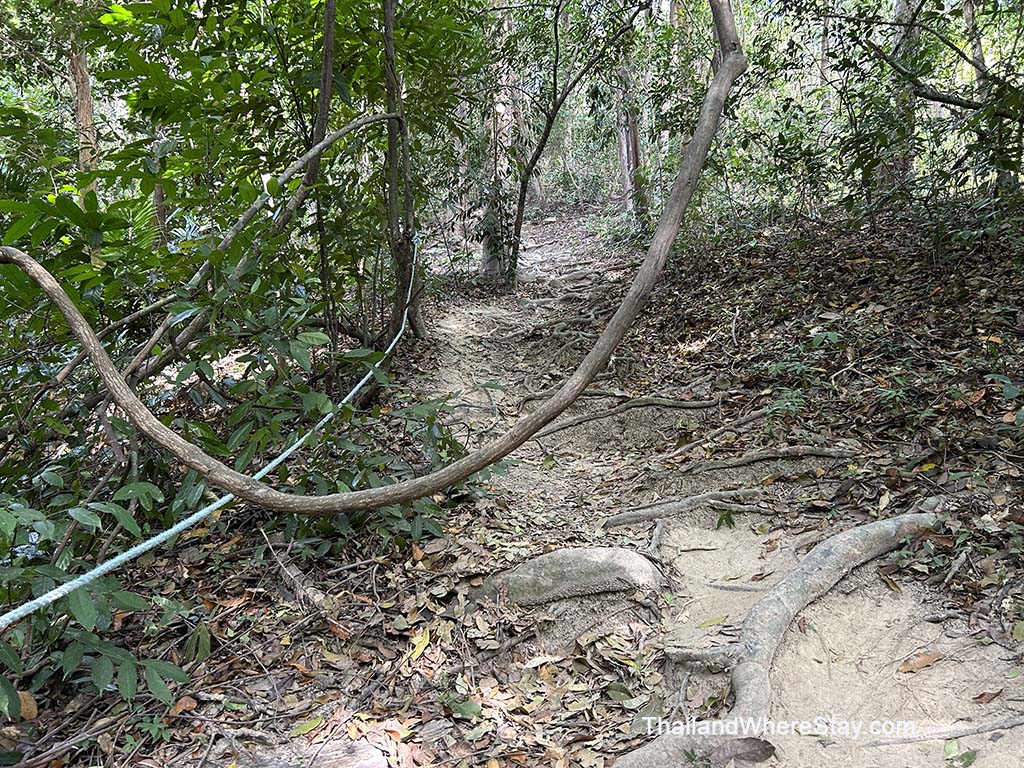 Starting trail to Chado Cliff