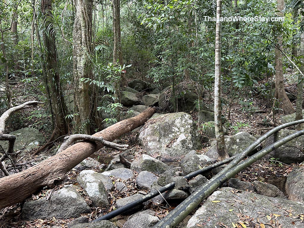 Trail to Pirate waterfall