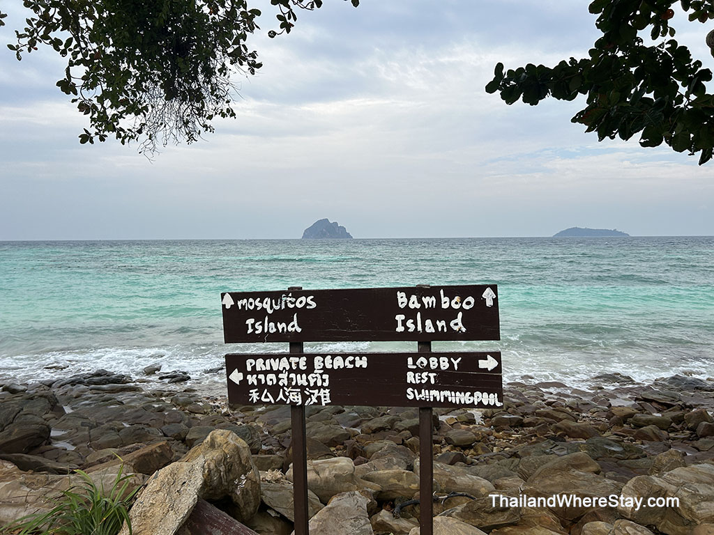 Bamboo island