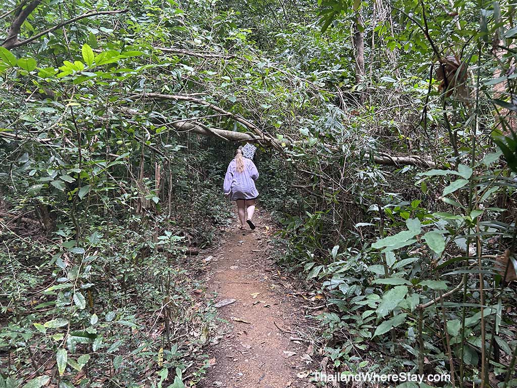 Jungle trail to Nui Beach