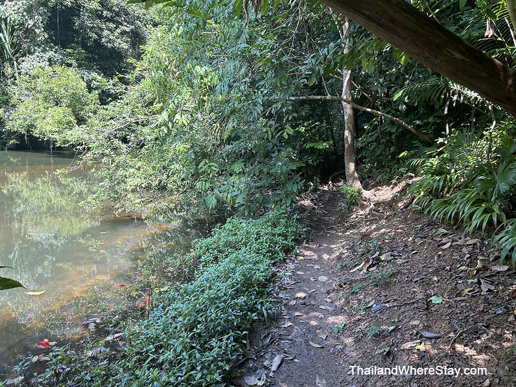 Trail along the river to Klong Chak Fall