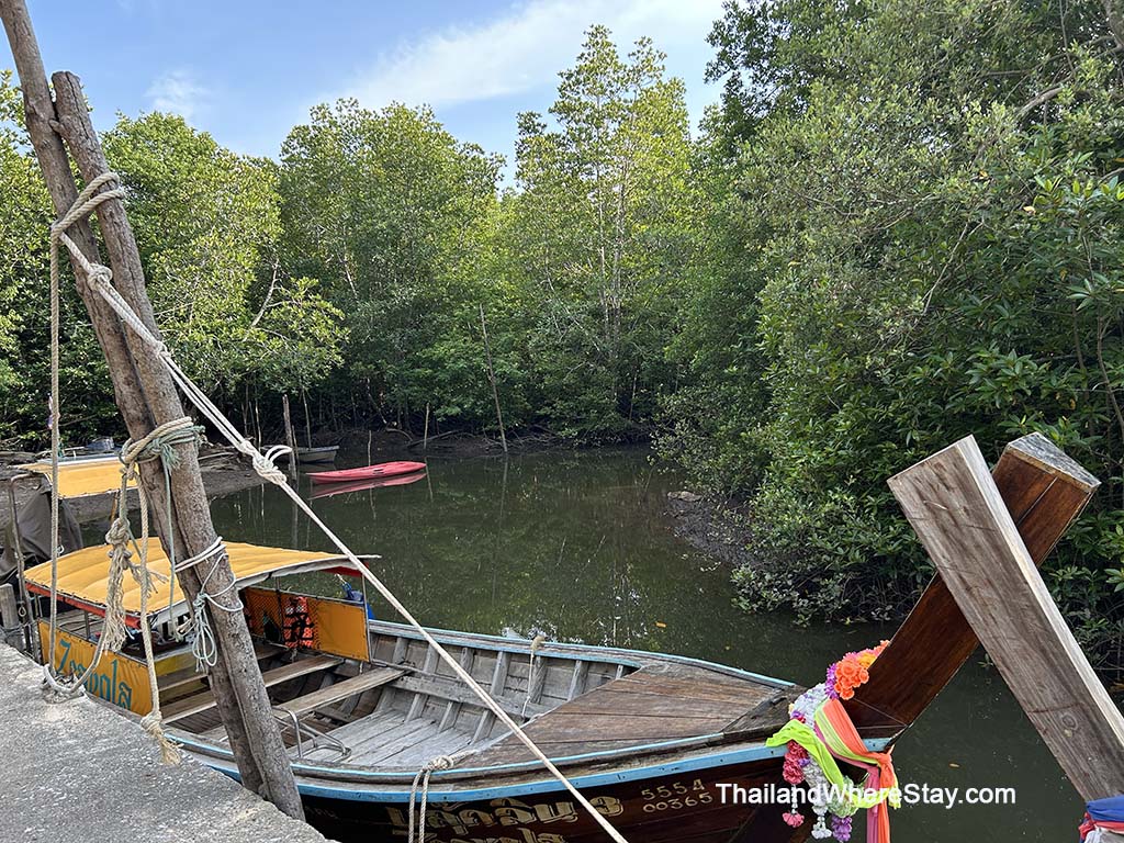 Kayaking Mangrove forest Yao Yai island