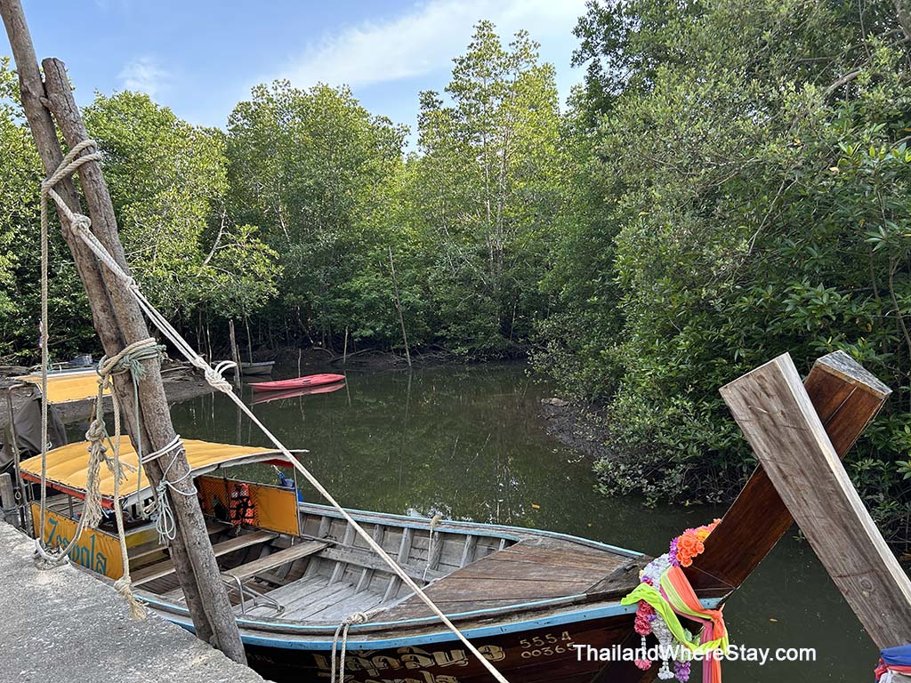 Mangrove forest Yao Yai